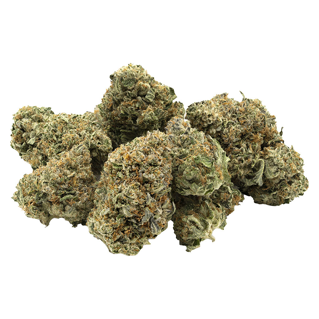 1964 - Comatose - 28g