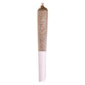 Station House - Blue Dream Pre-Roll - 1x0.5g