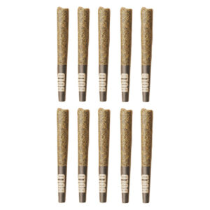 BOLD - Root Beer Float Pre-Rolls - 12x0.5g