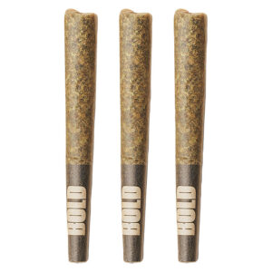 BOLD - Root Beer Float Pre-Rolls - 3x0.5g