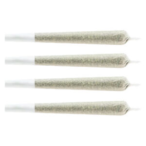 CHUB'S - Snack Pack - Sativa Pre-Rolls - 4x0.5g