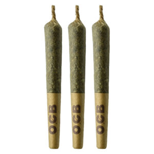 Coterie - Grape Gotti #12 Pre-Rolls - 3x0.5g