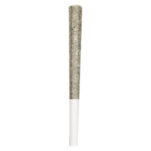 HighXotic - Royal One - Divine Comedy Pre-Roll - 1x1g