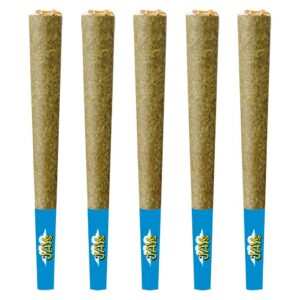 Jays - Old School All Hash Pre-Rolls - 5x0.5g