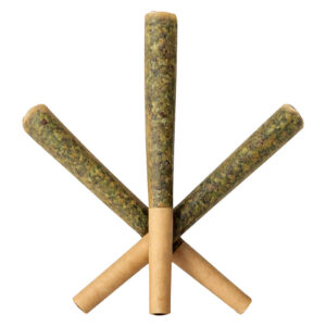 Sauce Rosin Labs - Sauce Slim-Bitz Live Rosin Infused Pre-Rolls - 3x0.5g