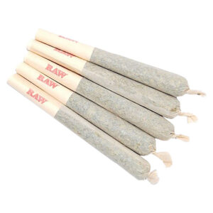 Sixty Seven Sins - Gary Satan Pre-Rolls - 7x0.5g