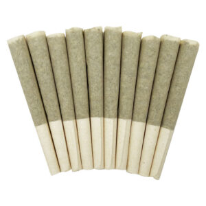 SKOSHA - Storm Indica Pre-Rolls - 10x0.5g