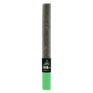 Tribal - Bubble Up Ceramic Tip Pre-Roll - 1x1g