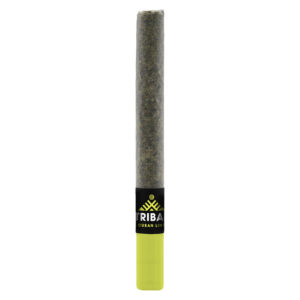 Tribal - Cuban Linx Ceramic Tip Pre-Roll - 1x1g