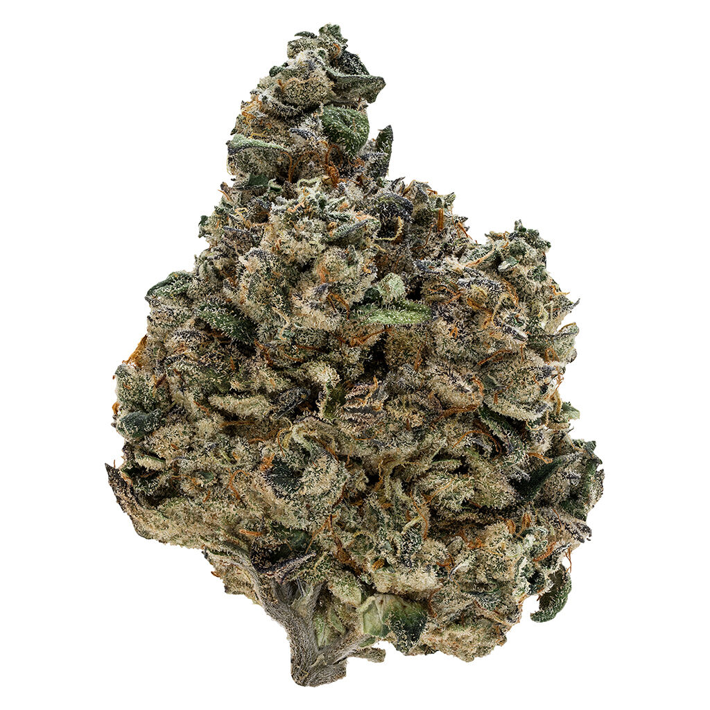 Tribal - Gran Turismo - 3.5g