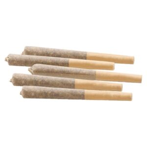 Woody Nelson - Rainbow Driver Pre-Rolls - 5x0.5g