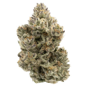 Northern Canna - The Collective Half Q - 3.5g