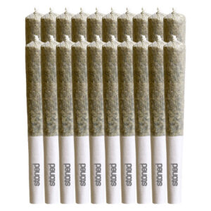 Stoned - Do Si Dos Pre-Rolls - 20x0.35g