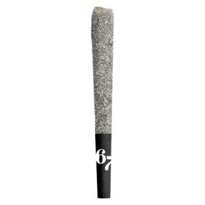 Sixty Seven Sins - 67 Sindicate Infused Pre-Roll - 1x1g