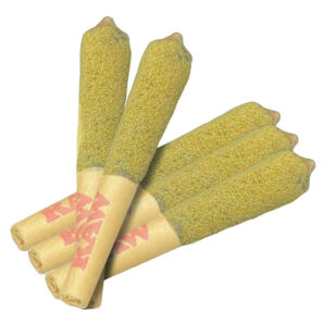 Dab Bods - Outsiders Atomic Orange Infused Pre-Rolls - 5x0.5g