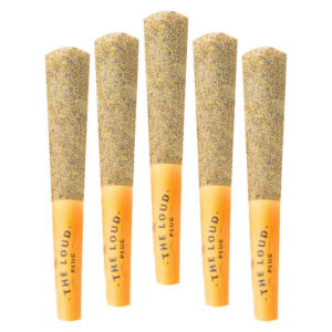The Loud Plug - Drippyz Mango Tango Infused Pre-Rolls - 5x0.5g