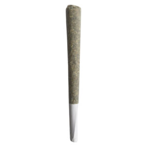 Saladz - Cobb Salad Hybrid Pre-Roll - 1x1g