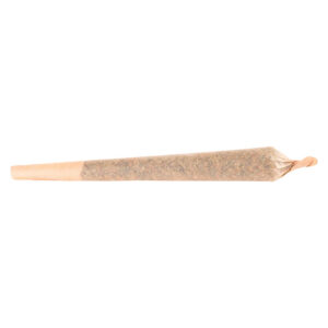 Terp Town Collective - Pirate Milk Pre-Roll - 1x1g