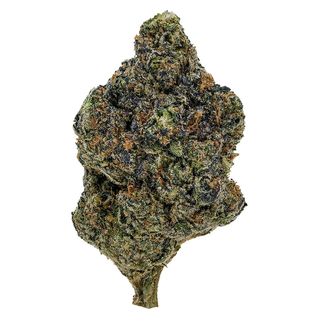 1964 - Gasolina - 7g