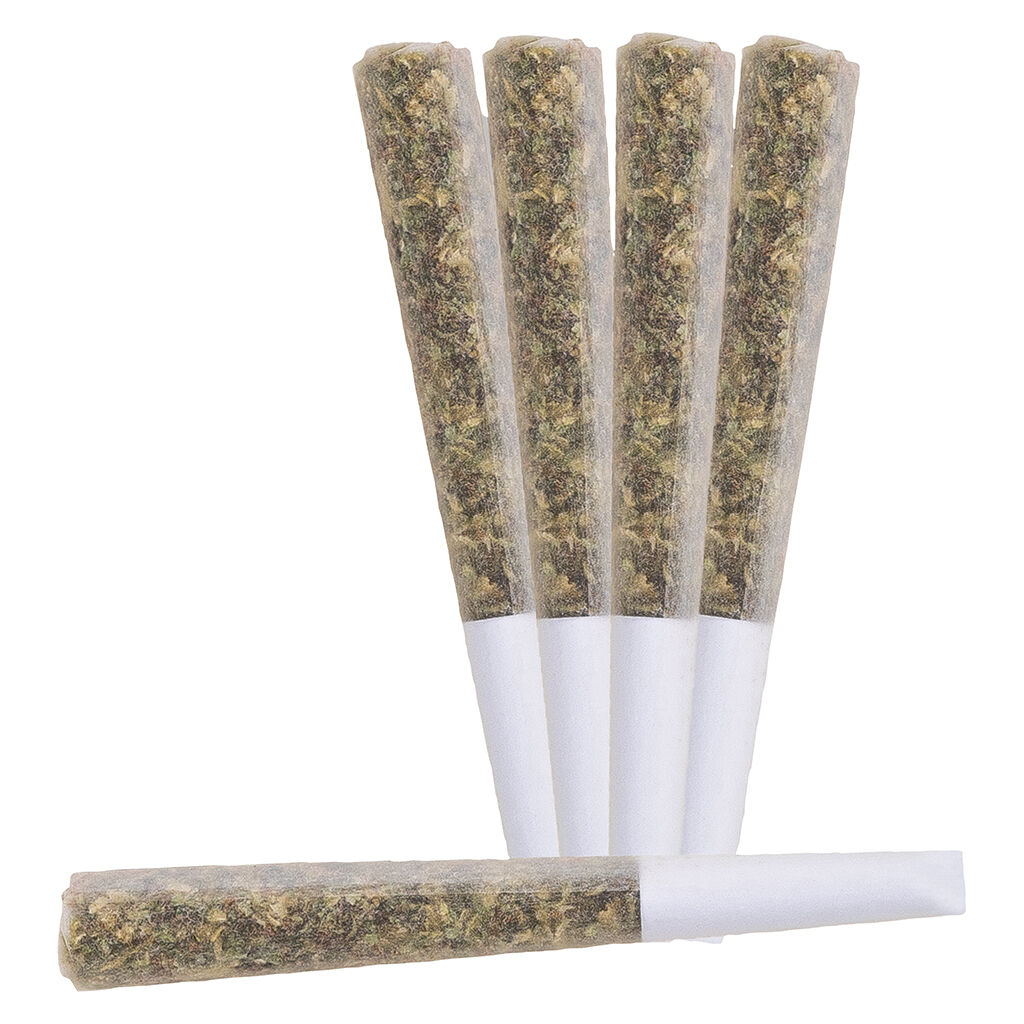 BLAST - Nova Live Rosin Infused Pre-Rolls - 5x0.5g - Image 2