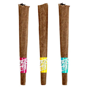 BOXHOT Fatties Vol. 2 Infused Blunt Variety Pack - 3x1g