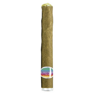 El Blunto - Yacht Master Hash Infused Blunt - 1x1g