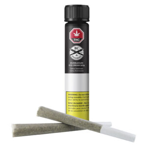 BC Doobies - Bubblegum Ice Cream Pre-Rolls - 2x1g