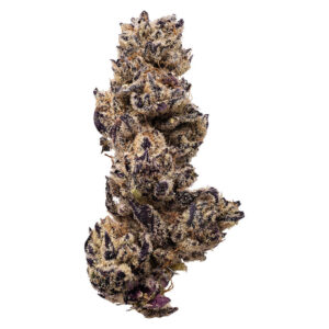 Queen of the Underground - Creme Brulee - 7g
