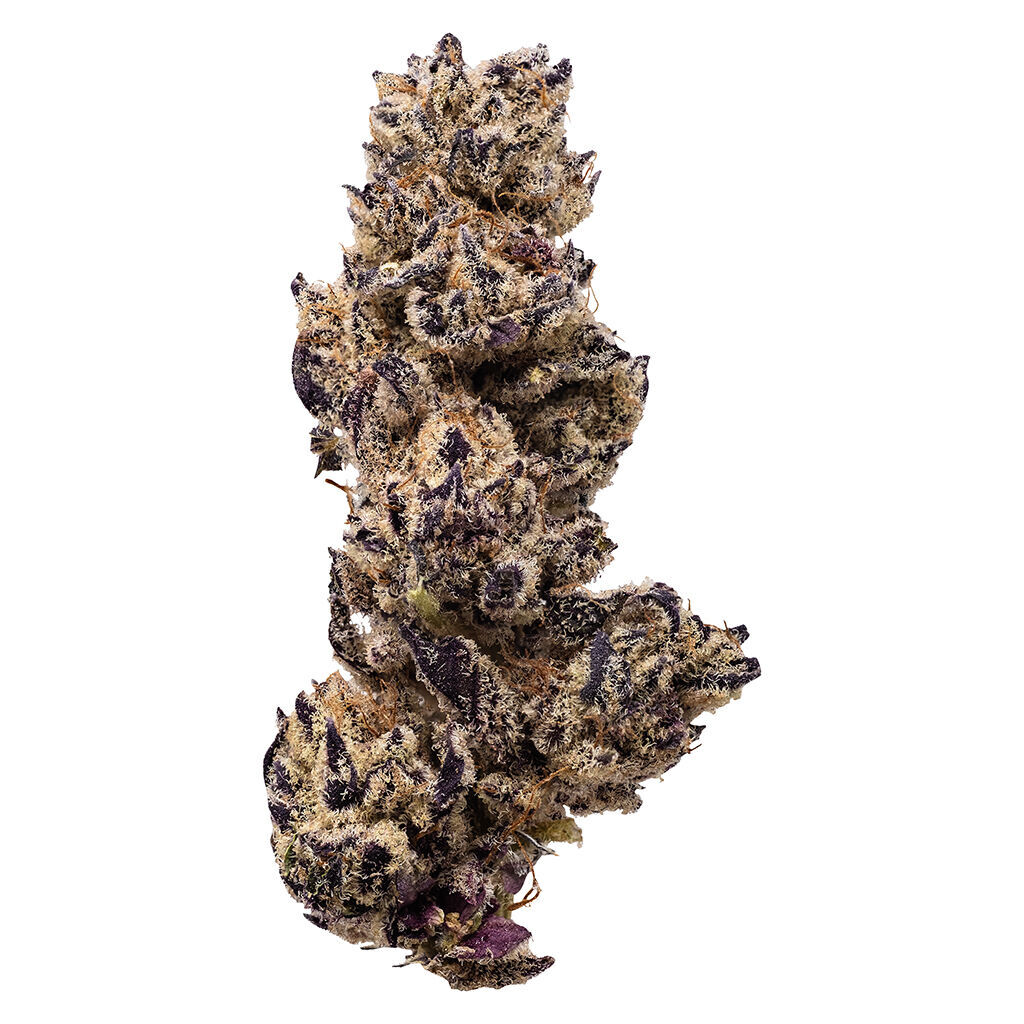 Queen of the Underground - Creme Brulee - 7g