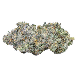 Sixty Seven Sins - Daft Phunk - 7g