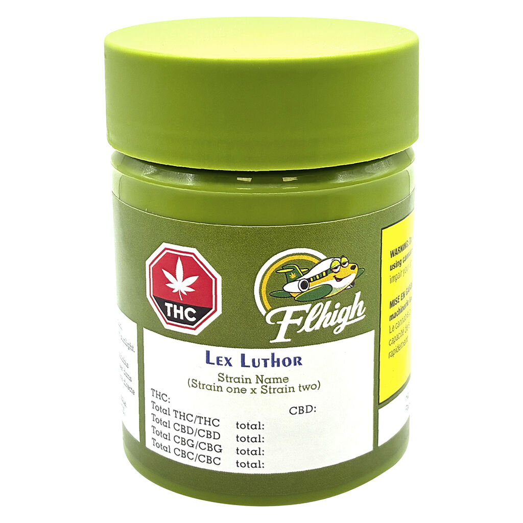 FLHIGH - Lex Luthor - 7g - Image 2