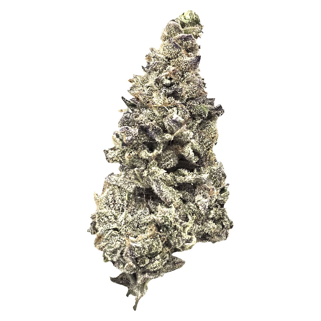 FLHIGH - Lex Luthor - 7g