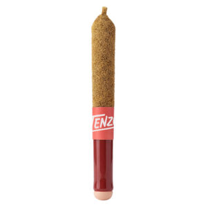 Tenzo - Strawberry Lychee Ceramic Tip Infused Pre-Roll - 1x0.5g