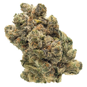 The Collection by Origine Nature - Clockwork Orange - 7g