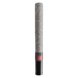 SLAPS - Gas Hash Hole Infused Pre-Roll - 1x2g